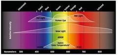 Dr Tims Aquatics Reptile Bird Systems Proten New Dawn 7 Watts Led Fixture 119003