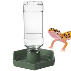 Grey Green Reptile Water Dispenser Small Bearded Dragon Bowl