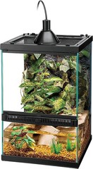 11 Gallon Glass Tropical Vertical Habitat Kit