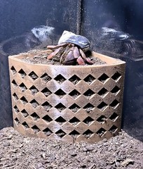 Hermit Crab Climbing Corner Decoration Ornament Hideout Toy Supplies Accessories