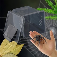 4 PCS Insect Spider Terrariums Breeding Box Hatching Container Arboreal