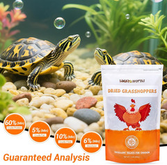 Luckyqworms Freeze Dried Grasshoppers – High Protein Reptile & Bird Food, 1Lb Re