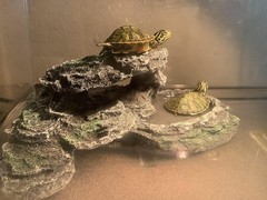 Elegant Resin Hide for Reptiles – Easy-Clean Basking Dock for Healthy Living