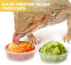 0.5Oz Crested Gecko Food and Water Feeding Cups, Reptile Feeder Bowls, Plastic R