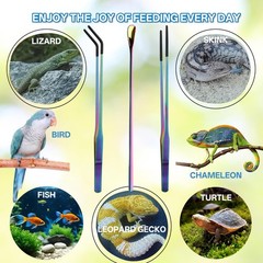 Voushtar 3-Pack Reptile Feeding Tongs Set with Spoon – 10.6 in, Colorful