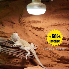 Basking Light for Reptiles, 2-Pack 100W Upgraded Intense Basking Spot, Reptile H