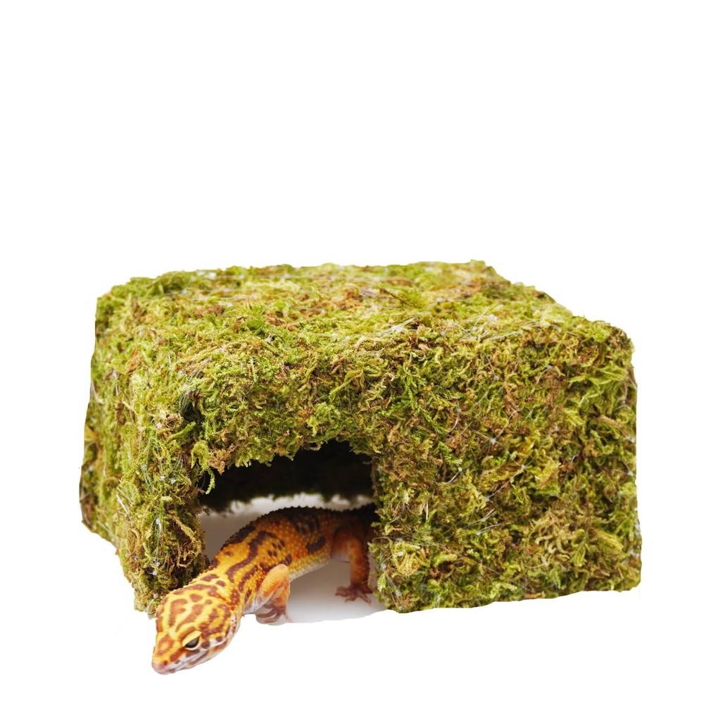 Natural Reptile Moss Hide Cave Leopard Gecko Tank Accessory
