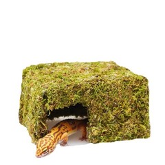 Natural Reptile Moss Hide Cave Leopard Gecko Tank Accessory