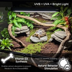 Upgraded T5 UVB Reptile Light, 10.0 UVB 8W German Made Fluorescent Lamp and F…
