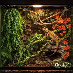 Reptile Vines Plants for Terrarium, Flexible Vines Jungle Climbing Branch with L