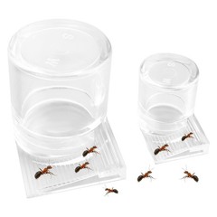2pcs Mini Ant Water Feeder – Transparent Liquid Feeding Bowls for Ant Farms S…