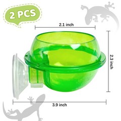 Tfwadmx Chameleon Bowl, Reptile Feeding Feeder,Worm Live Fodder green