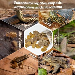 4.9 OZ Dry Oak Leaf Litter – Leaf Litter for Reptiles, Snakes, Frogs, Isopods