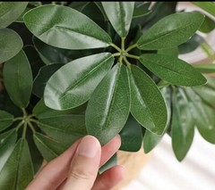 Reptile Artificial Plants- Free Shipping – Umbrella Plant