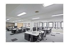 LUXRITE F54T5/841/HO 54W 46 Inch T5 Fluorescent Tube Light Bulb, 4100K Cool W…
