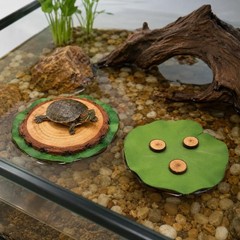 MHLLGN 2pk Mini Turtle Basking Platform Floating Dock
