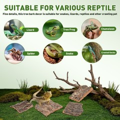 4Pcs Reusable Natural Tree Bark Reptile Climbing Platforms Durable Pet Decor