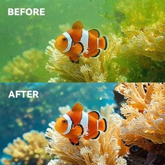 New Upgraded 6-in-1 16-Pack Aquarium Filter Cartridges, Designed for Tetra Wh…