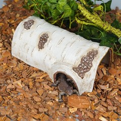 Reptile Hide Cave 9.45″ L X 4.33″ W X 3.43″ H – Naturalistic Shelter
