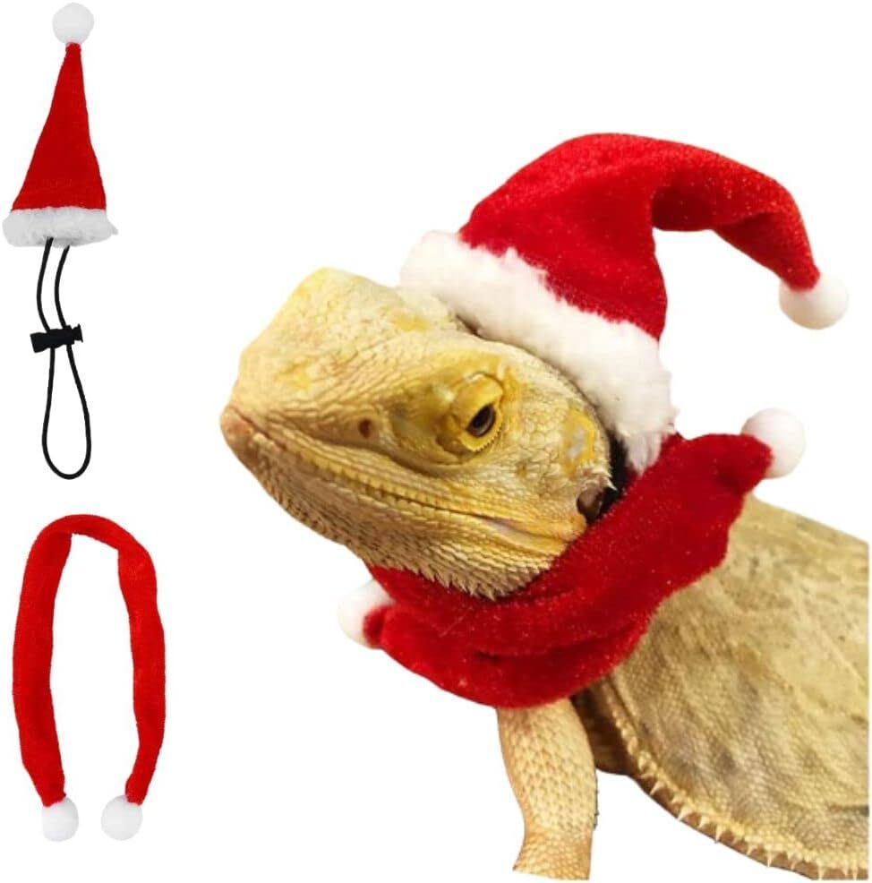 Bearded Dragon Santa Hat and Scarf Costume for Lizard Reptile Ferret Xmas Hat