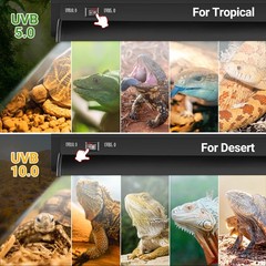 Switchable UVB Light for Reptiles, 39W T5 UVB Light Combo Kit for Tropical & …