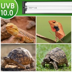 QZQ T5 UVB Reptile Light Fixture Combo Kit 8W, 10.0 UVB Light for Reptiles, T…
