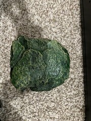 reptile care lot includes hide and food and water dishes
