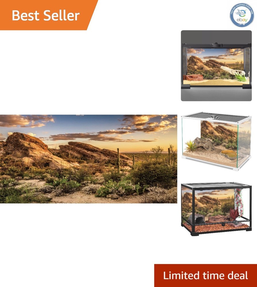 Vibrant 48×24 Inches Blue Sky Oasis Terrarium Background – Durable & Lightweight
