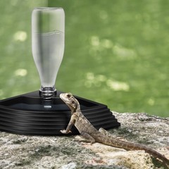 Lizard Corner Water Bowl Reptile Accessories Popetpop Automatic