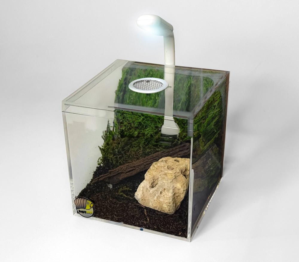 Vented Acrylic Vivarium Enclosure 4″ White Vent Small Clear Terrarium Habitat
