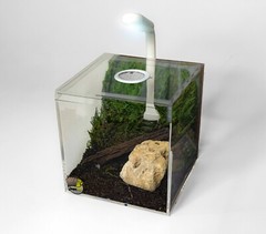 Vented Acrylic Vivarium Enclosure 4″ White Vent Small Clear Terrarium Habitat