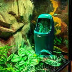 Reptile Water Fountain Chameleon Water Dripper, Reptile Water Dispenser with …