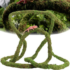 Moss Vine for Reptiles, Bendable Climbing Vines Reptile Tank Accessories, Natura