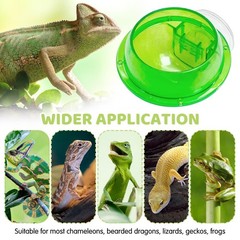 Tfwadmx Chameleon Bowl, Reptile Feeding Feeder,Worm Live Fodder green