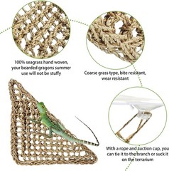 Flexible Jungle Climber Vines and Hammock for Bearded Dragons and Other Reptiles