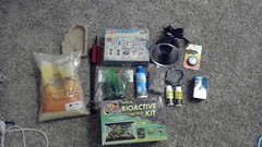 variety of hermit crab pet supplies