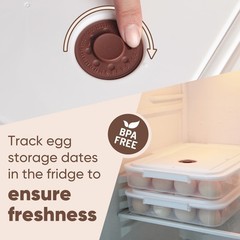 77L Deviled Egg Containers with Lid, (Set of 2), Plastic Deviled Egg Carrier …