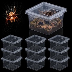 10 Pcs Insect Spider Terrariums Breeding Box Hatching Container Transparent
