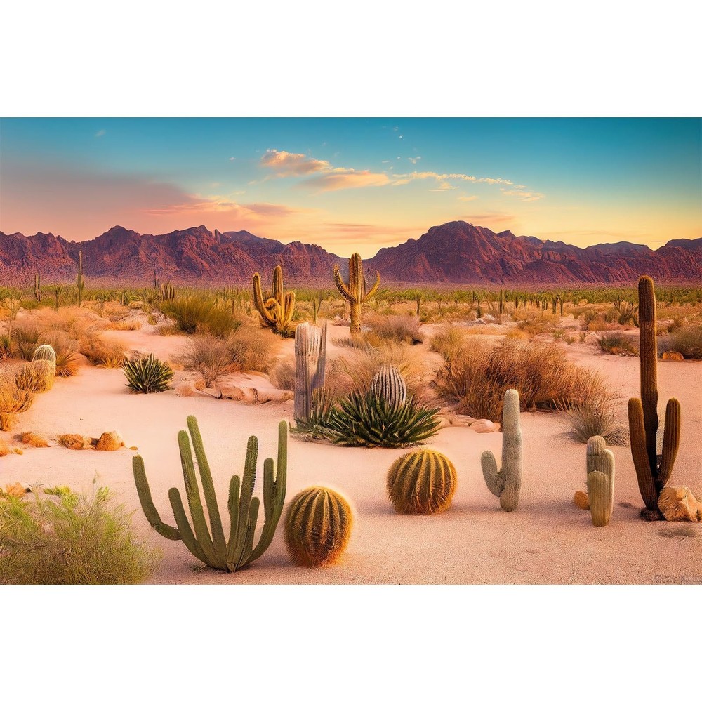 Desert Reptile Habitat Background Arid Landscape of Hot Sahara Desert Terrari…
