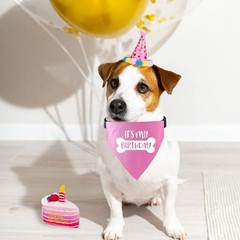 Dog Birthday Bandana Collar Adjustable Pet Scarf with Quick Release Buckle