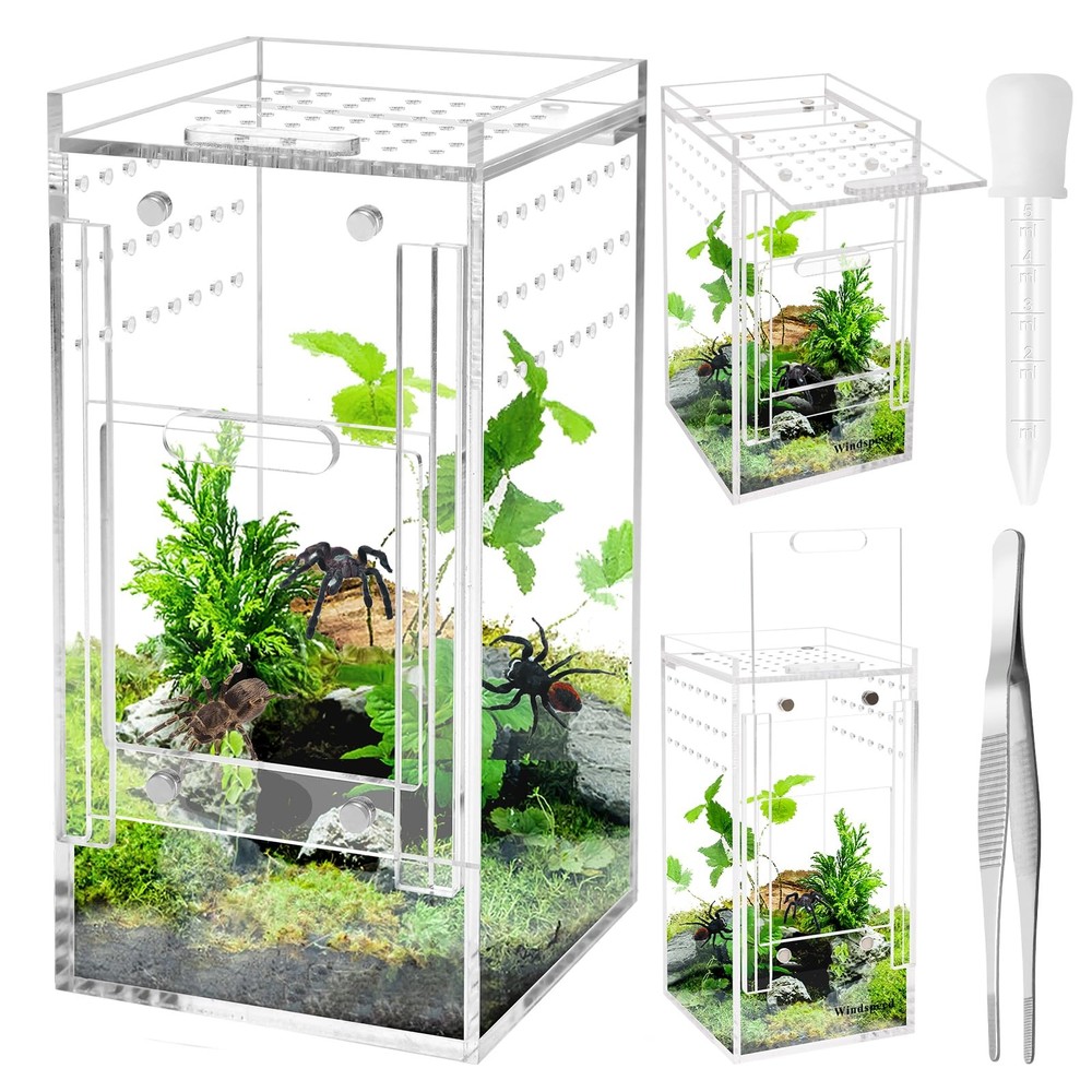 Mini Spider Enclosure, 3x3x6’’ Acrylic Terrarium with Ventilation Jumping Spi…