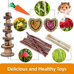 Hamster Toys Set, Guinea Pig Toys Small Animal Chewing Toy and Rat Cage Acces…