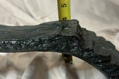 Zilla Decor Reptile Basking Platform With Ramps