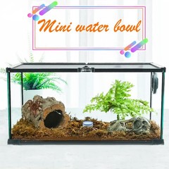 36 Pcs Spider Micro Water Bowl Mini Ceramic Dish for Tarantula White