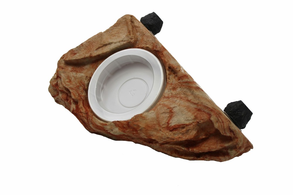 Magnatural Large Worm Feeder Ledge – Mojave PT-1654 Bearded Dragon Crested Ge…