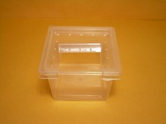 10 Pcs clear plastic insect feeding / breeding habitat box containers