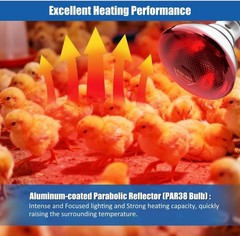 250W Heat Lamp Bulbs 1 Pack Infrared Heat Lamp for Chickens with E26 Socket a…