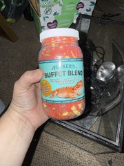 Reptile Set Up Pet Supplies