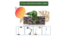 Ceramic Heat Lamp Bulb Infrared Pet Heater Aquarium Terrarium Snake Lizard 2 Pcs