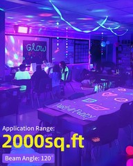 2 Pack 100W LED Black Light IP66 Waterproof, Outdoor 100W-2 Pack, Purple